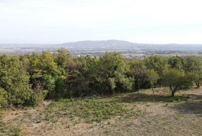 Terrain - 1 352 m²