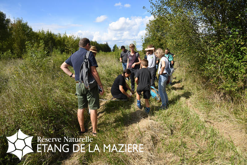 Reconnaitre les arbres en hiver.