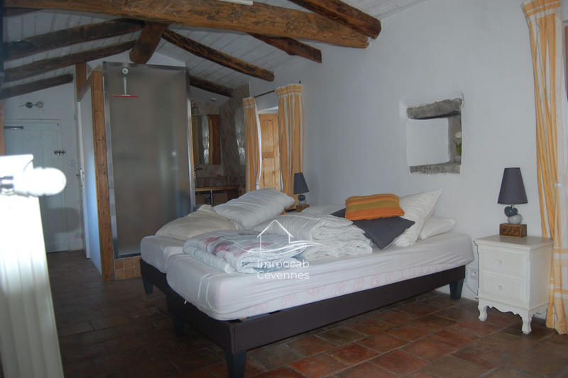 Mas - 740 m² - 10 pièces