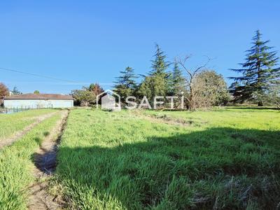 Terrain - 4 401 m²