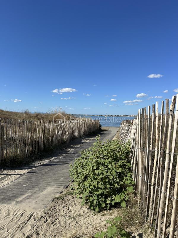 Studio - 23 m² - 1 pièce