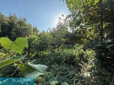 Terrain agricole - 354 m²