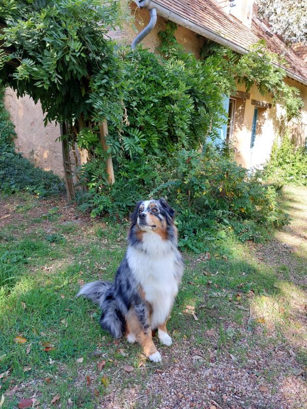 Maison de campagne - 184 m² - 4 pièces