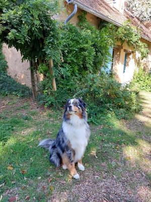 Maison de campagne - 184 m² - 4 pièces