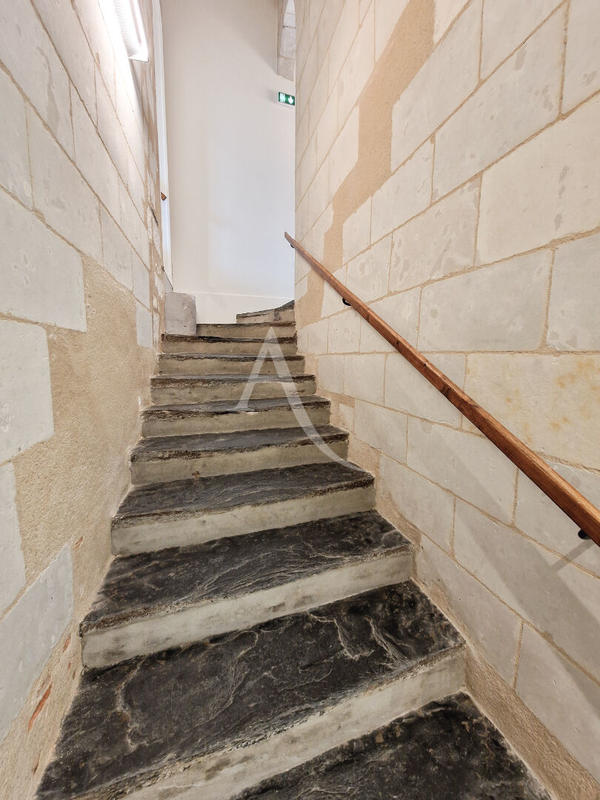 Appartement - 53 m² - 2 pièces