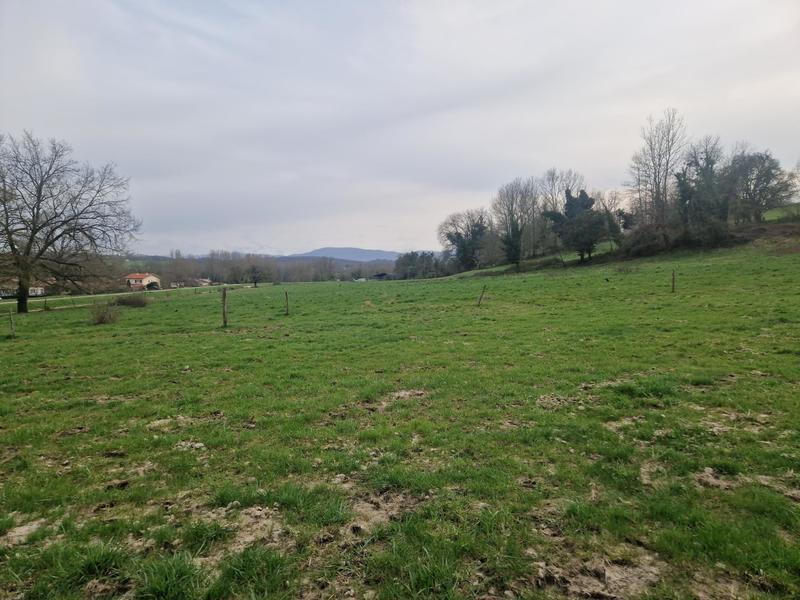 Terrain - 4 380 m²