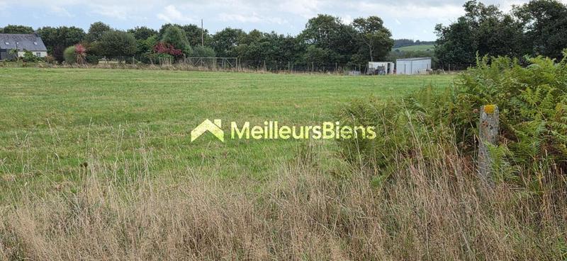 Terrain constructible - 3 954 m²