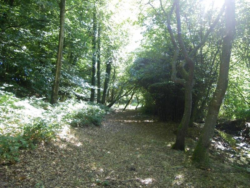 Propriété - 227 m²