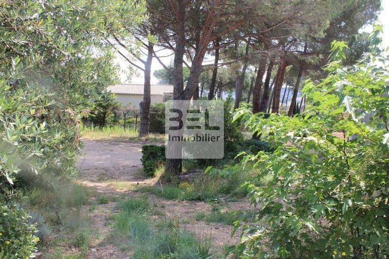 Terrain constructible - 1 203 m²