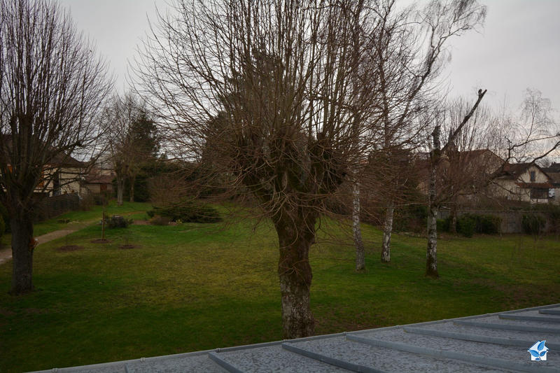 Viager - Maison - 381 m² - 11 pièces