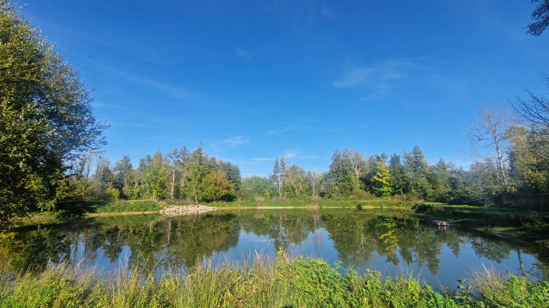Étang - 11 950 m²