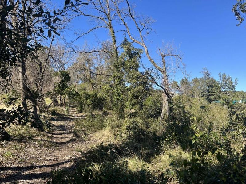 Terrain constructible - 1 050 m²