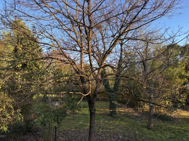 Maison - 150 m² - 4 pièces