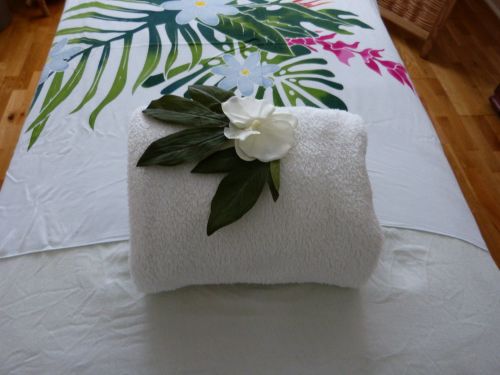 Ayubowan massages du monde