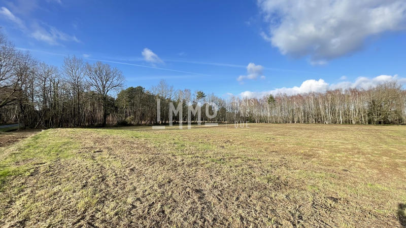 Terrain - 3 600 m²