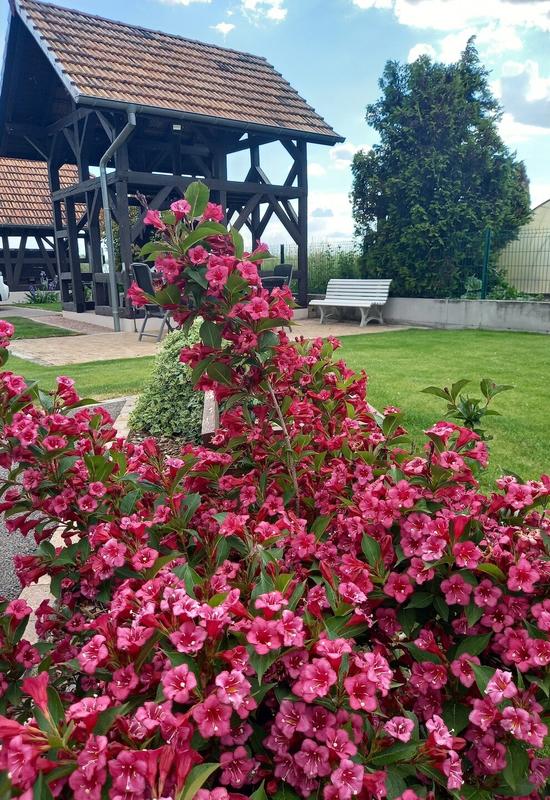 Corps de ferme - 320 m² - 14 pièces