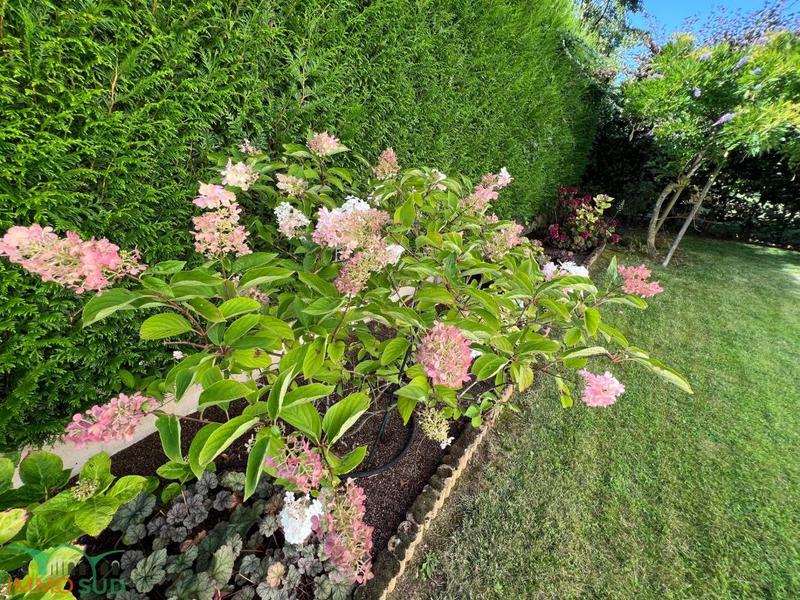 Maison de village - 135 m² - 6 pièces