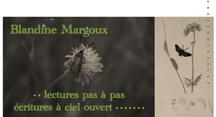 Êtres humains et, depuis toujours, la main • Atelier d'écriture