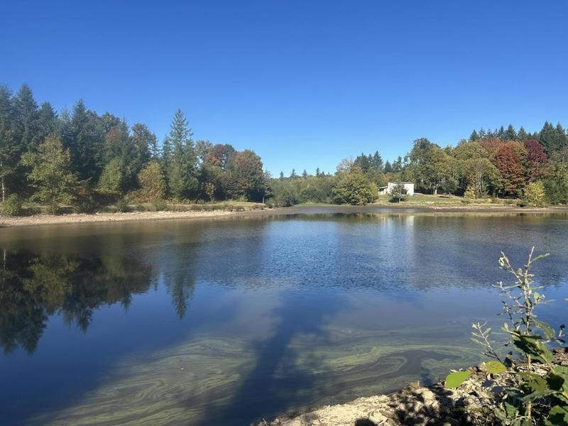 Propriété - 65 m²