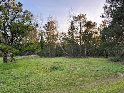 Maison - 131 m² - 6 pièces