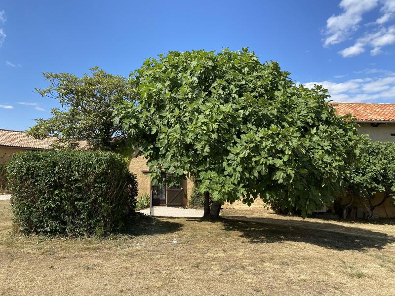 Maison - 191 m² - 16 pièces