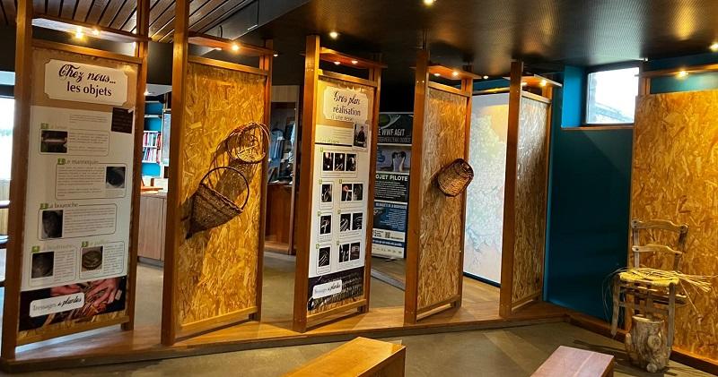 Exposition "Tressage des plantes"