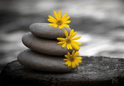 Ma Pause Mieux-Être