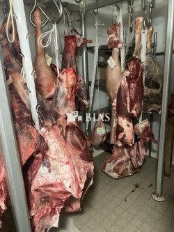 Fonds de commerce - 150 m²