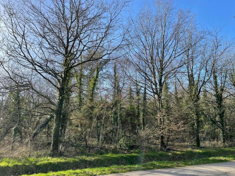 Terrain de loisirs - 11 290 m²