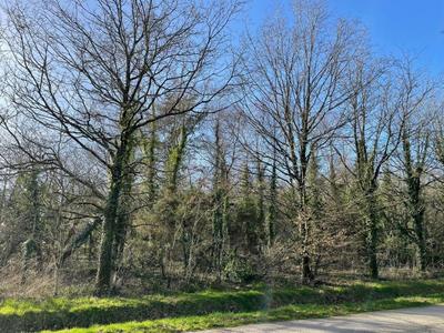 Terrain de loisirs - 11 290 m²