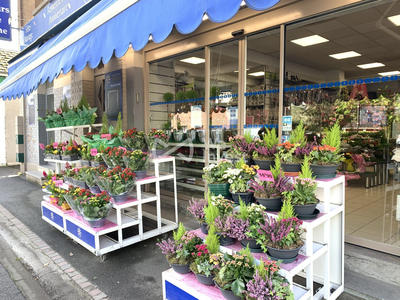 Fonds de commerce - 100 m²