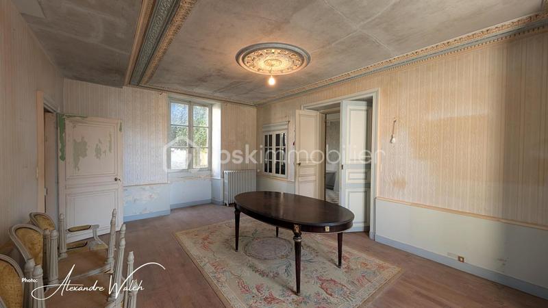 Maison de maîtres - 270 m² - 11 pièces