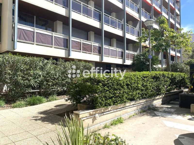 Appartement - 166 m² - 5 pièces