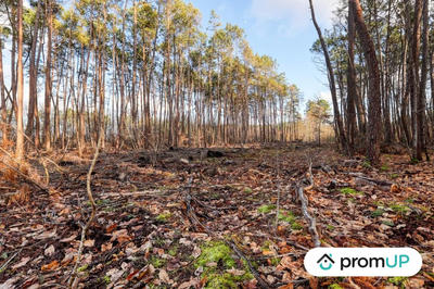 Terrain de loisirs - 1 570 m²