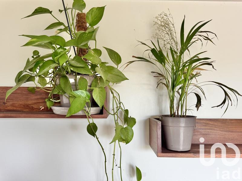 Appartement - 106 m² - 6 pièces