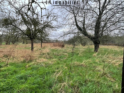 Maison - 128 m² - 4 pièces