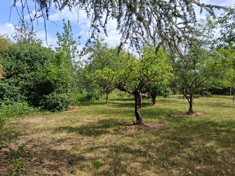 Maison - 134 m² - 6 pièces