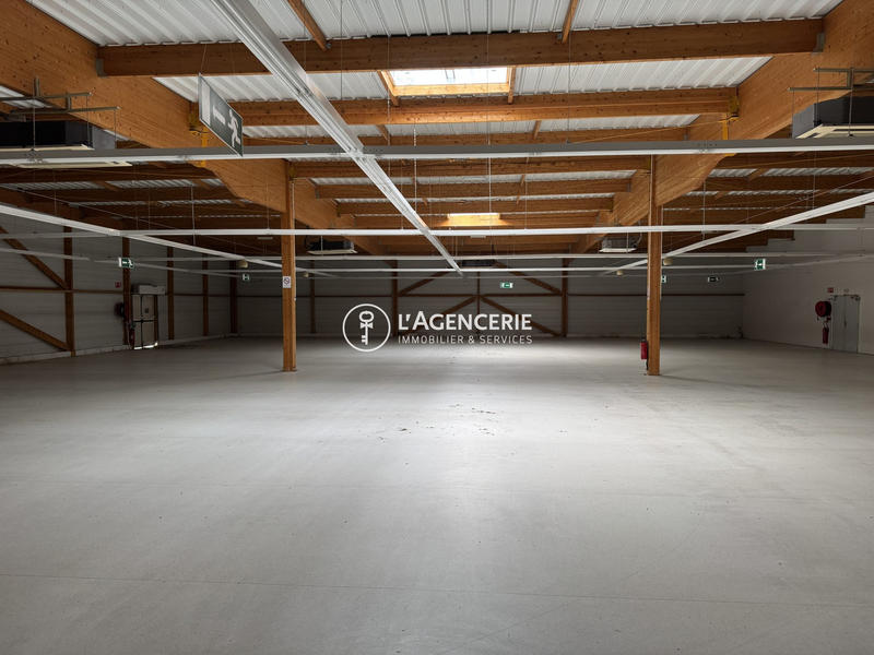 Local commercial - 1 181 m²