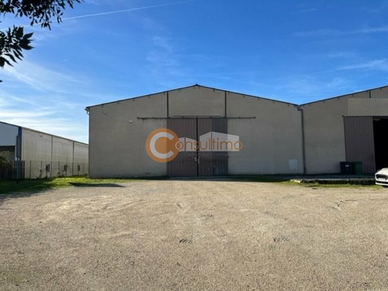 Local d'activité / Entrepôt - 850 m²