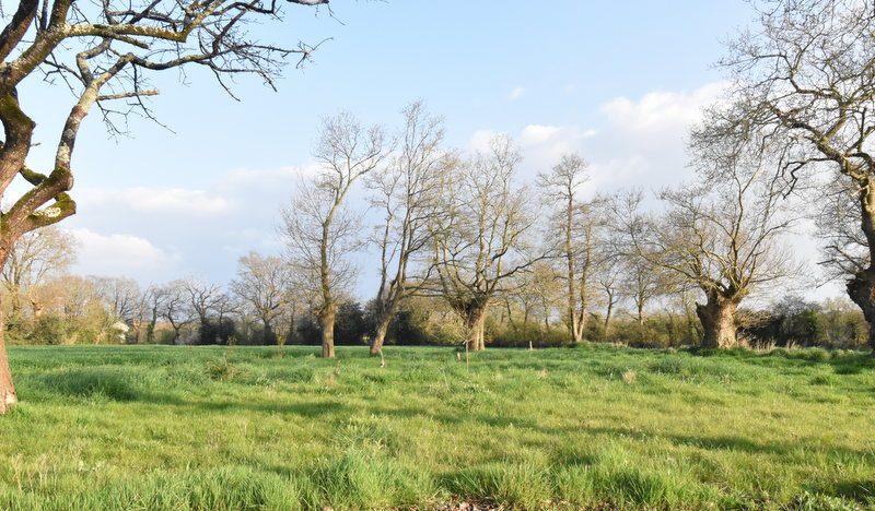 Maison - 130 m² - 4 pièces