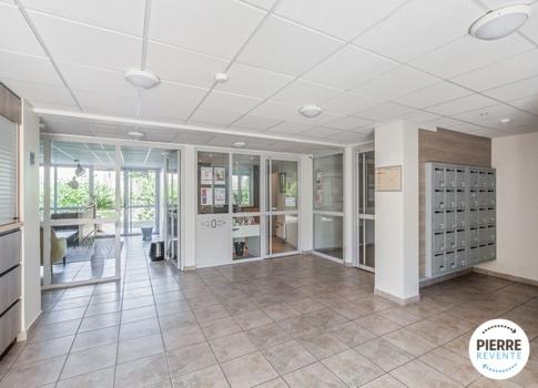 Studio - 24 m² - 1 pièce