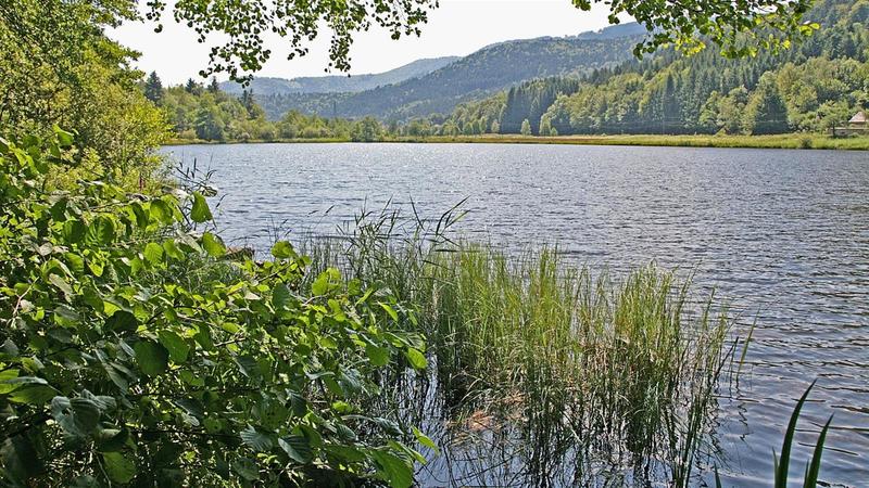 Séjour découverte Nature et Bien-être