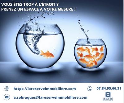 Bureau - 100 m² - 3 pièces