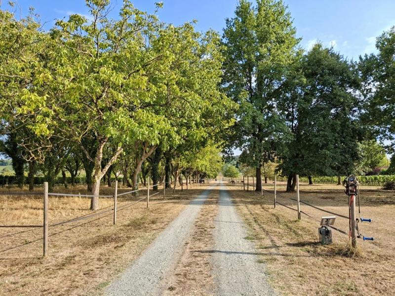 Maison - 170 m² - 4 pièces