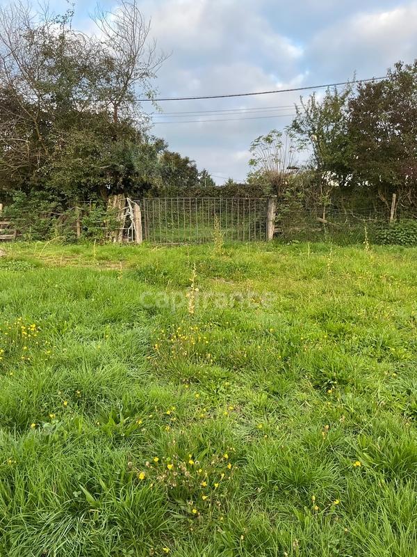 Terrain constructible - 8 600 m²