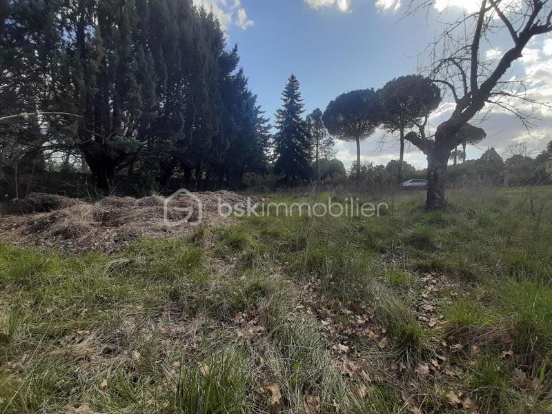 Terrain - 620 m²