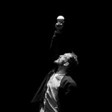 Pingouin - Compagnie Virgule