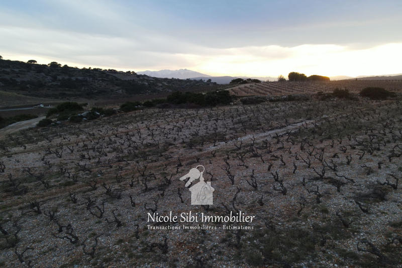 Terrain agricole - 4 820 m²