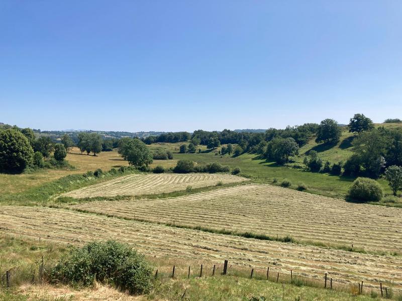 Maison - 130 m² - 7 pièces