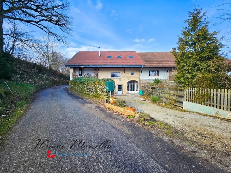 Appartement - 197 m² - 6 pièces